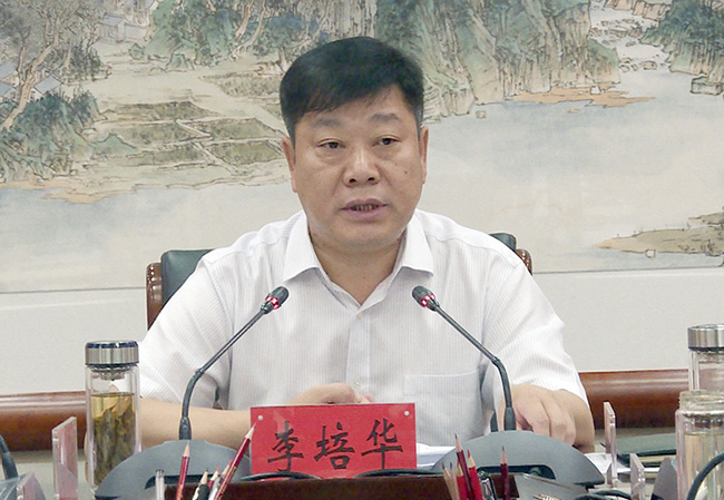 县委副书记,县长李培华讲话