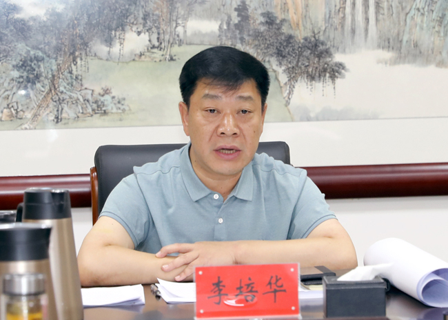 李培华主持召开重点项目专题汇报会