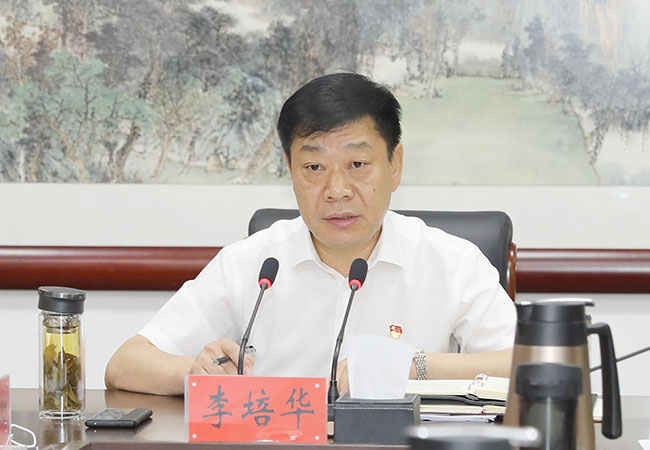 李培华讲话
