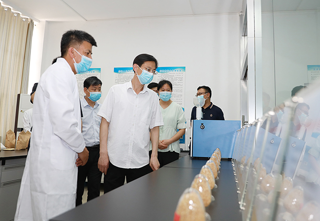 卢继成督导夏收准备,疫情防控及巩固脱贫攻坚与乡村振兴有效衔接工作