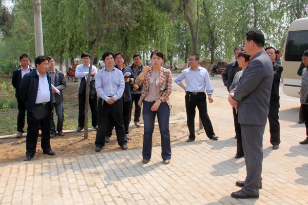 县长王玲督导我县太极拳文化工程_温县新闻-豫都网